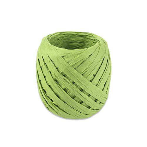 Ruban de papier vert (20m)