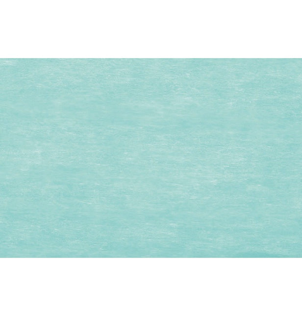 Ruban vert clair pastel 10m