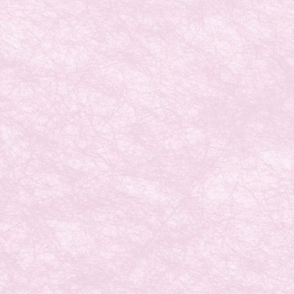 Ruban rose pâle pastel 10m