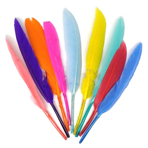 Plumes colorées (100pcs)