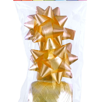 Polyband combi set or (1 œuf, 2 rosettes)