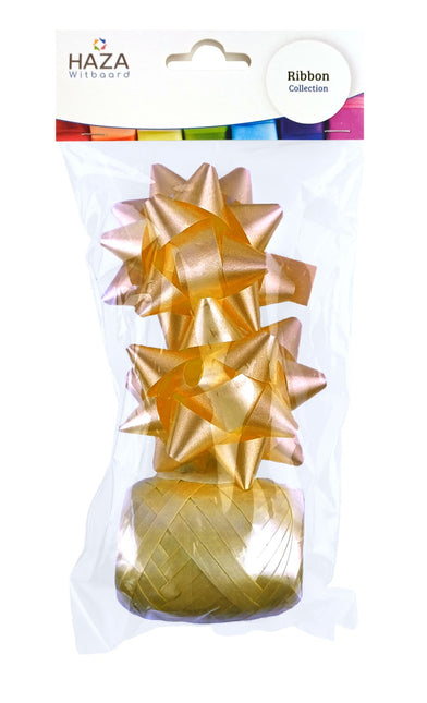 Polyband combi set or (1 œuf, 2 rosettes)