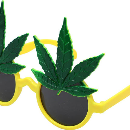 Rasta Bril van Fiestas Guirca koop je bij Partywinkel