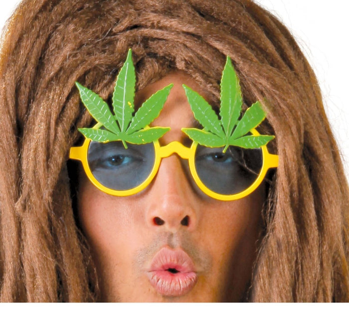 Rasta Bril van Fiestas Guirca koop je bij Partywinkel