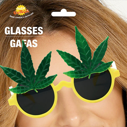 Rasta Bril van Fiestas Guirca koop je bij Partywinkel