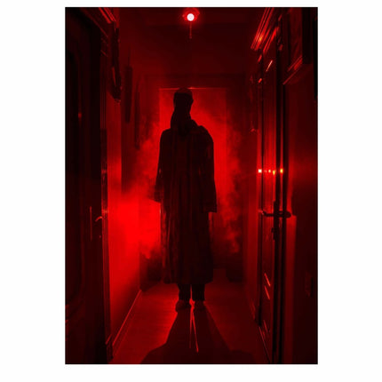 Rood Ledlamp 5W van Fiestas Guirca koop je bij Partywinkel