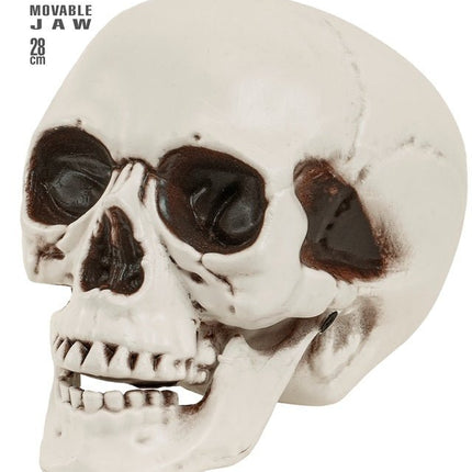SCHEDEL MET BEWEEGBARE KAAK 28 CM van Widmann koop je bij Partywinkel