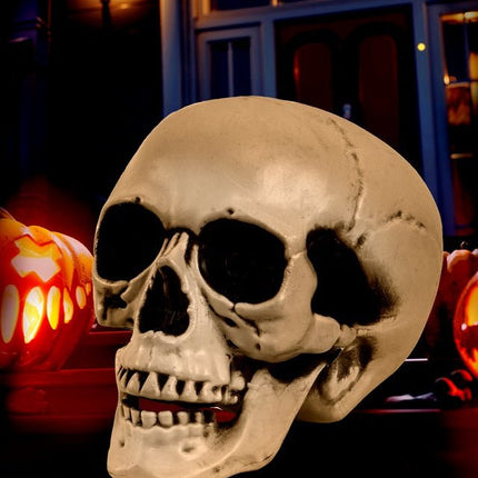 SCHEDEL MET BEWEEGBARE KAAK 28 CM van Widmann koop je bij Partywinkel