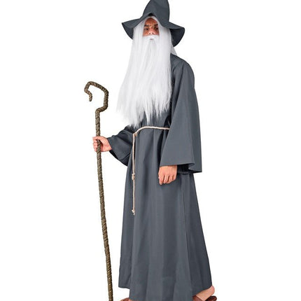Tovenaar Grijs van Widmann koop je bij Partywinkel