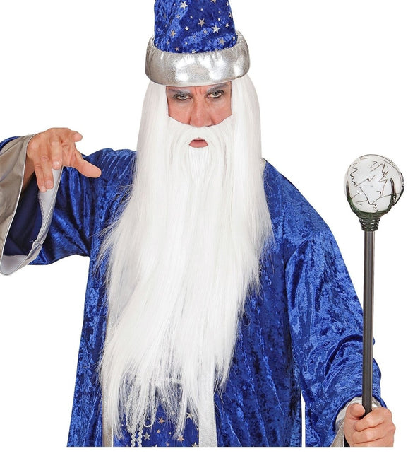 Tovenaar Pruik Met Baard van Widmann koop je bij Partywinkel