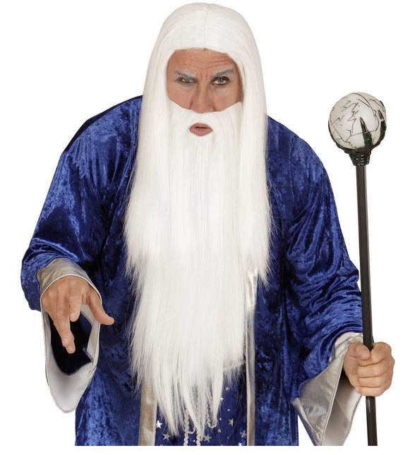 Tovenaar Pruik Met Baard van Widmann koop je bij Partywinkel