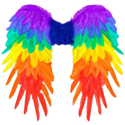VEREN VLEUGELS REGENBOOG OPVOUWBAAR 50 X 50 CM van Widmann koop je bij Partywinkel