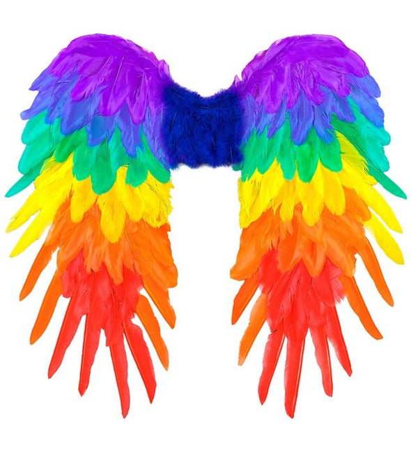 VEREN VLEUGELS REGENBOOG OPVOUWBAAR 50 X 50 CM van Widmann koop je bij Partywinkel