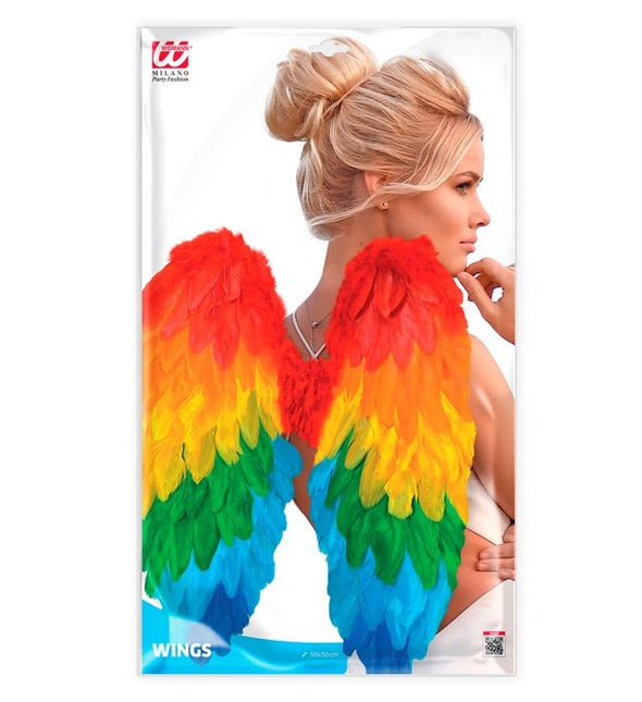 VEREN VLEUGELS REGENBOOG OPVOUWBAAR 50 X 50 CM van Widmann koop je bij Partywinkel