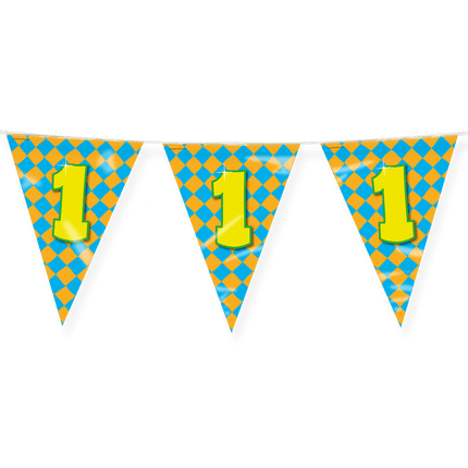 Vlaggenlijn 1 Jaar Gekleurd 10m van Paper Dreams koop je bij Partywinkel