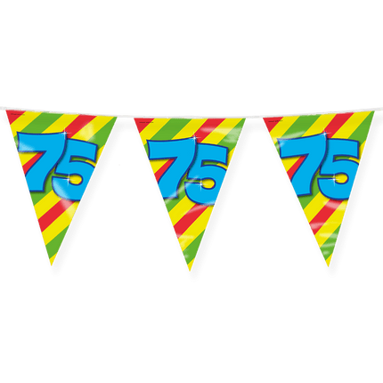Vlaggenlijn 75 Jaar Gekleurd 10m van Paper Dreams koop je bij Partywinkel