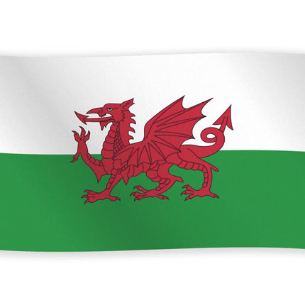 Wales Vlag 1,5m van WeFiesta koop je bij Partywinkel