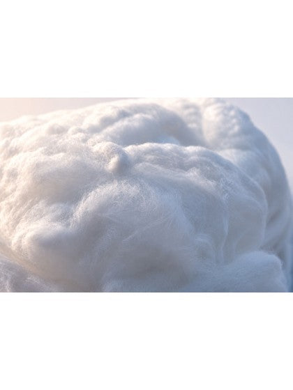 Toile d'araignée blanche 240 g