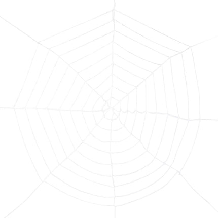 Witte Spinnenweb 2,75m van Boland koop je bij Partywinkel