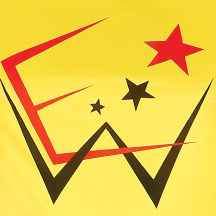 Worstelaar Hulk Kostuum Heren van Fiestas Guirca koop je bij Partywinkel