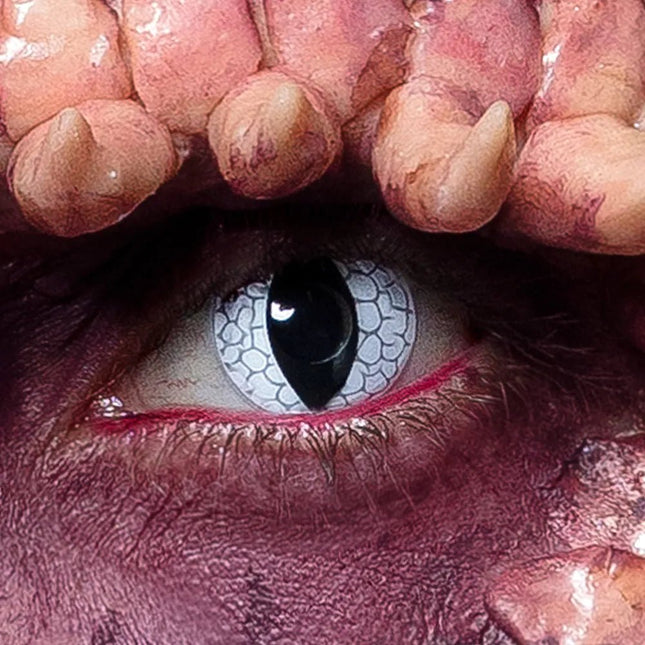 Zwart Witte Kleurlenzen Draak van Boland koop je bij Partywinkel