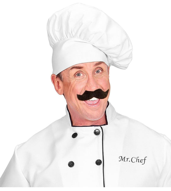 Zwarte Nep Snor Ambassador van Widmann koop je bij Partywinkel