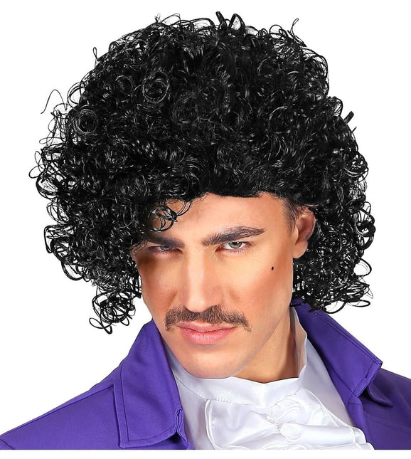 Zwarte Pruik Prince van Widmann koop je bij Partywinkel